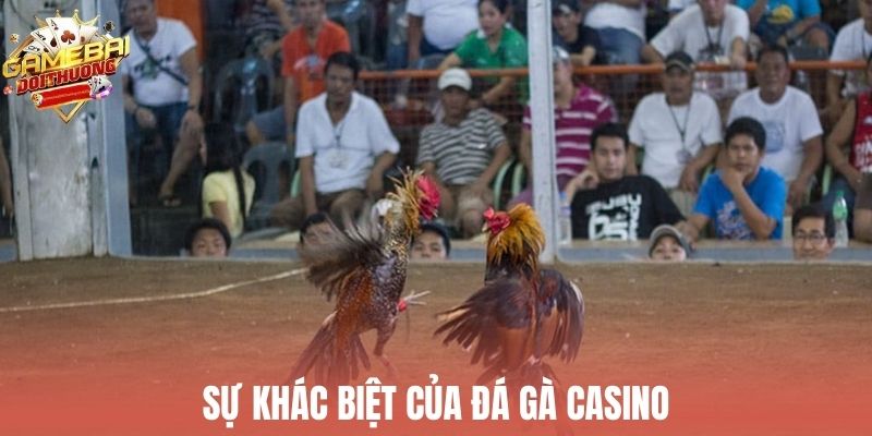 Đá gà casino mang đến trải nghiệm hiện đại