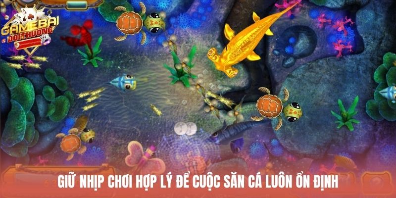 Giữ nhịp chơi hợp lý để cuộc săn cá luôn ổn định