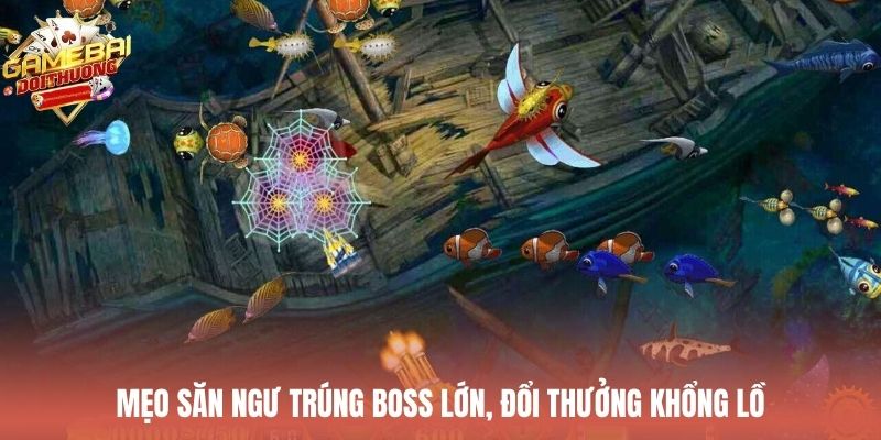 Mẹo săn ngư trúng boss lớn, đổi thưởng khổng lồ