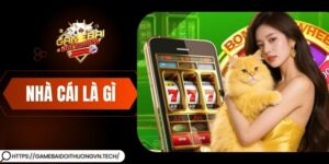 Nhà Cái Là Gì – Khám Phá Bí Mật Đằng Sau Mỗi Ván Cược