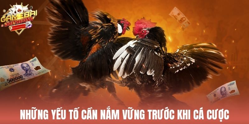 Những kiến thức quan trọng trong kinh nghiệm cá cược đá gà trực tuyến