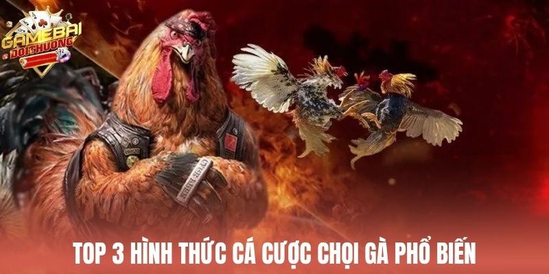 Những loại kèo cược thịnh hành khi chơi đá gà casino