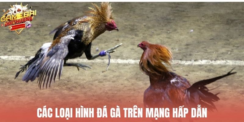 Những thể loại đá gà trên mạng được nhiều người ưa chuộng